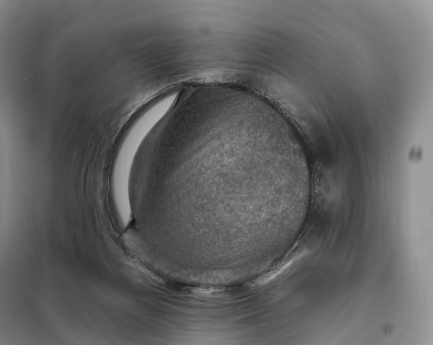 X0000098000164200804071227