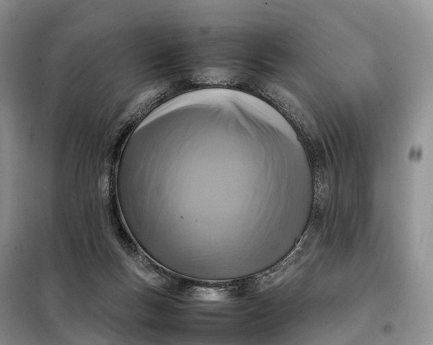 X0000098000167200804071227
