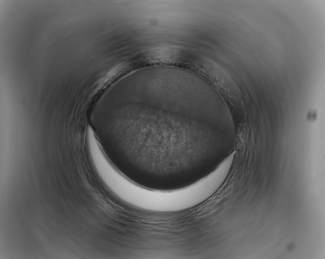 X0000098000168200804071227
