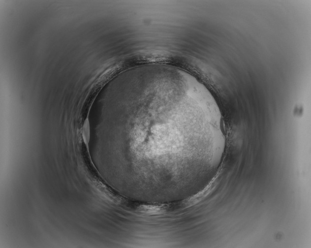 X0000098000170200804071227