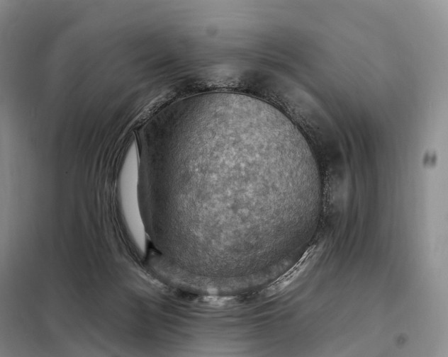 X0000098000172200804071227