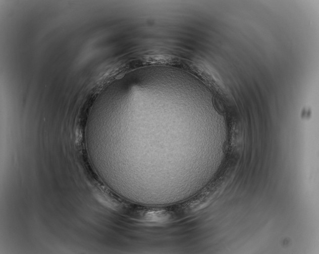 X0000098000173200804071227