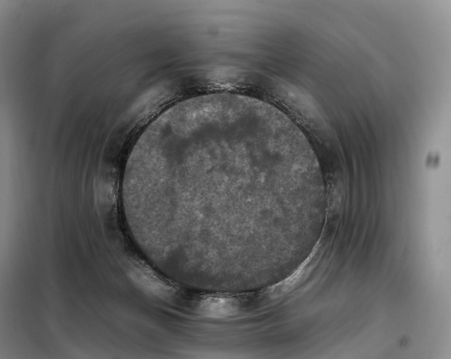 X0000098000174200804071227