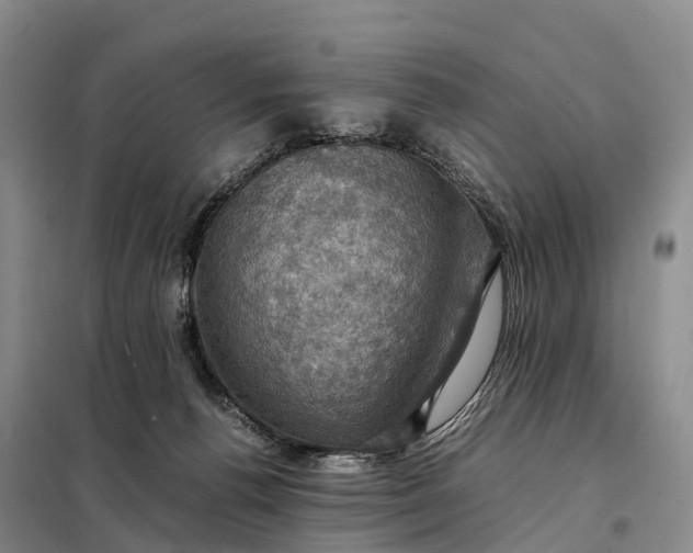 X0000098000176200804071227