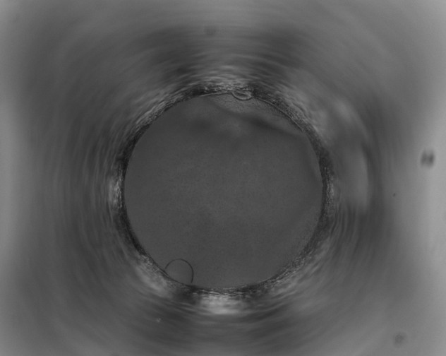 X0000098000177200804071227