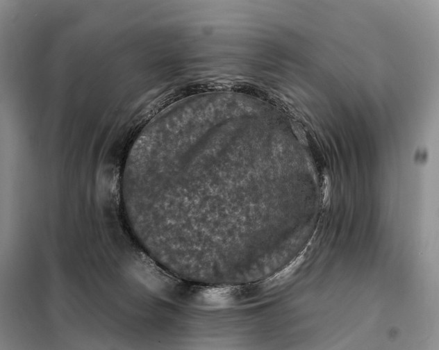 X0000098000178200804071227
