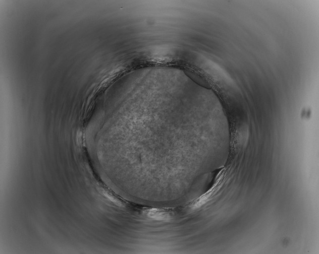 X0000098000180200804071228