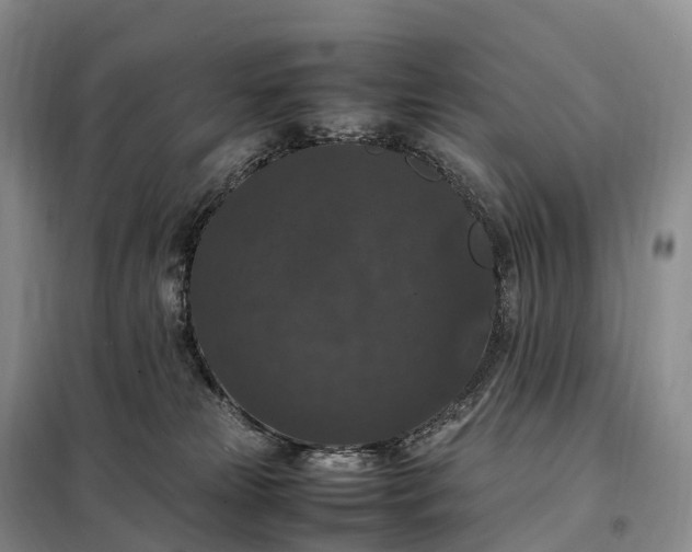 X0000098000181200804071228