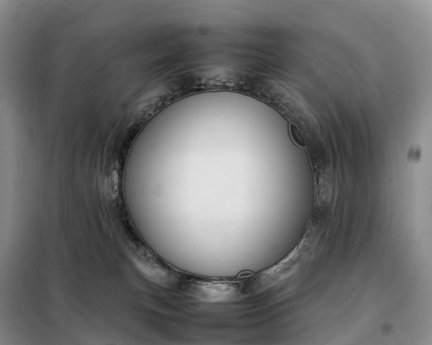X0000098000183200804071228