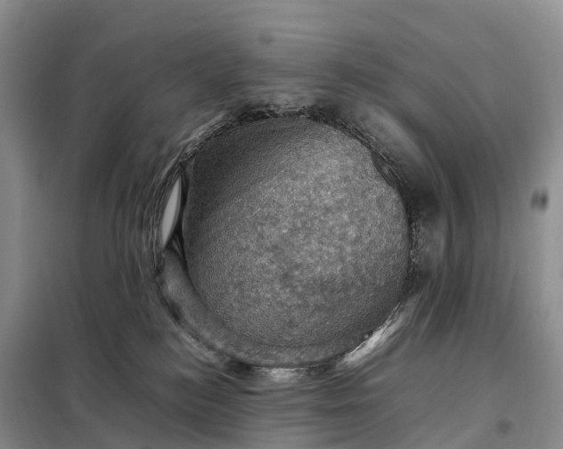 X0000098000184200804071228