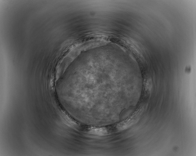 X0000098000185200804071228