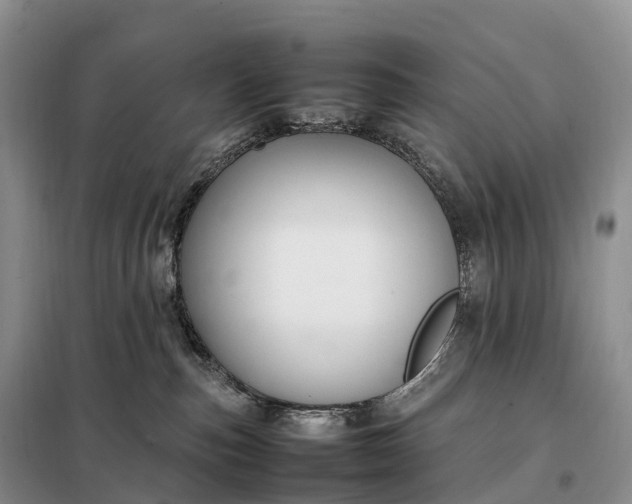 X0000098000187200804071228