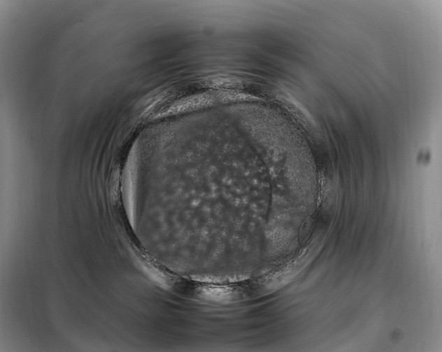 X0000098000189200804071228