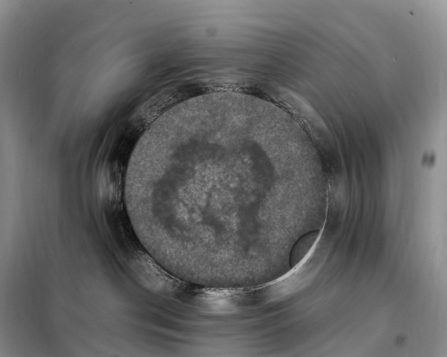 X0000098000190200804071228