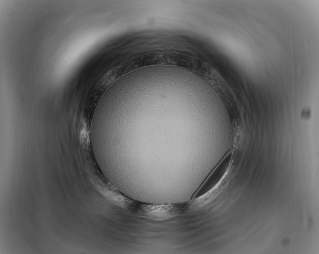 X0000098000191200804071228