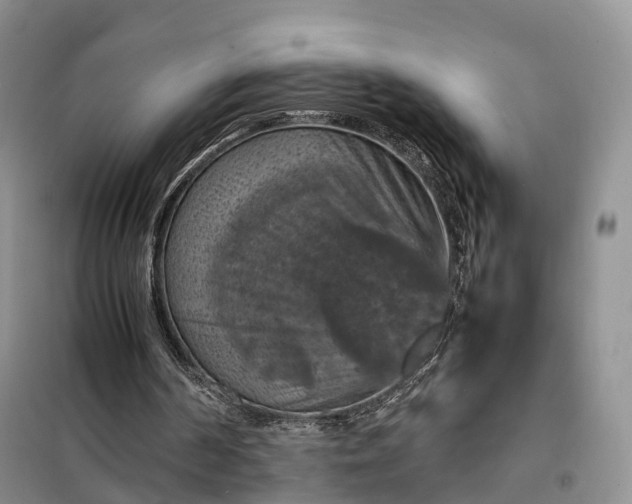 X0000098000194200804071227