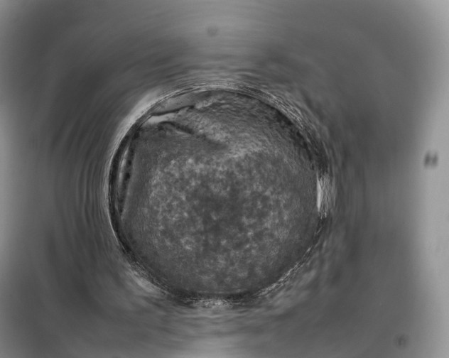 X0000098000195200804071227