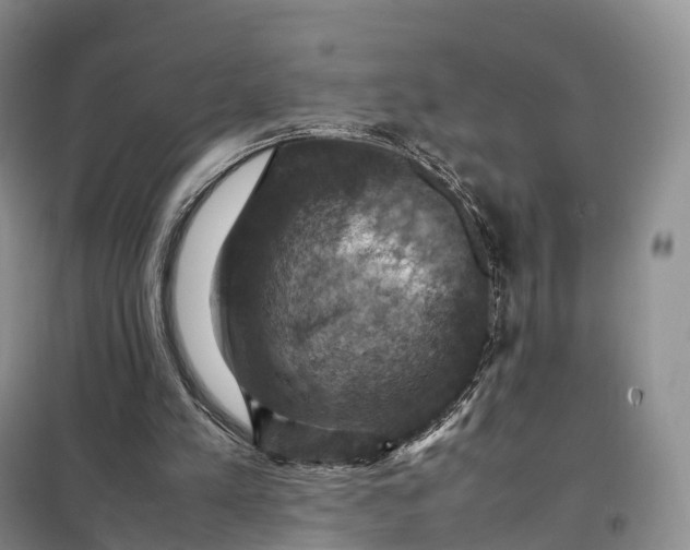 X0000098000197200804071227
