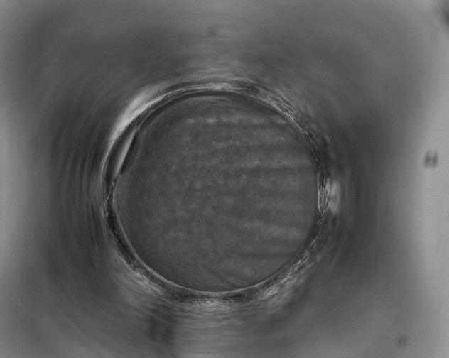 X0000098000198200804071227