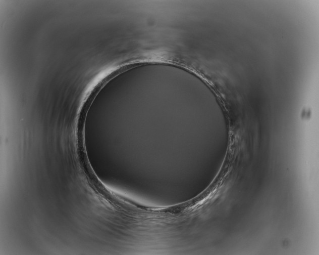 X0000098000200200804071227