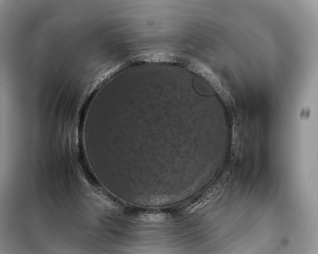 X0000098000202200804071227