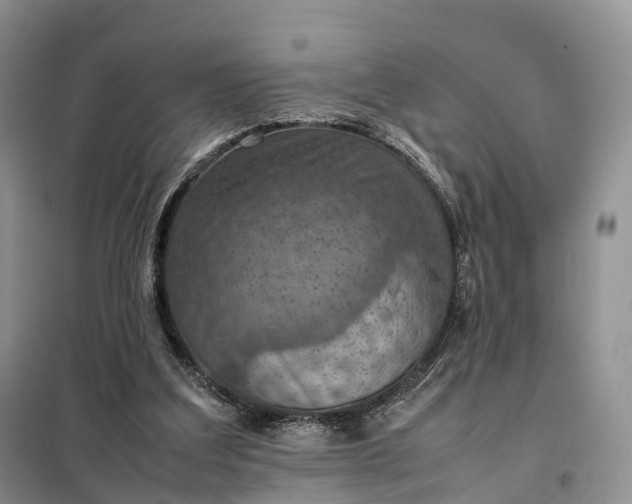 X0000098000203200804071227