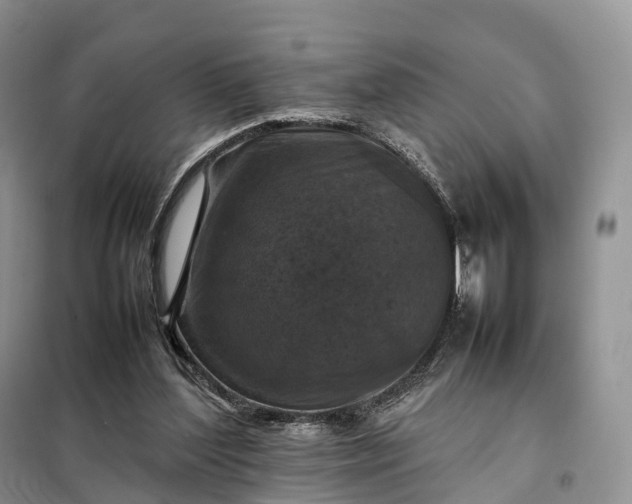 X0000098000204200804071227