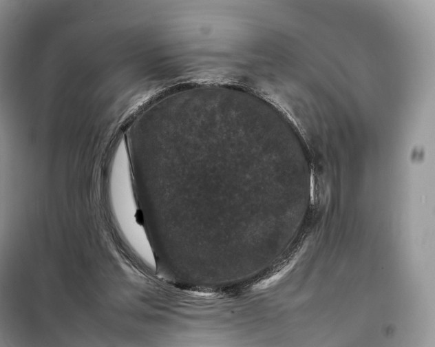 X0000098000205200804071227