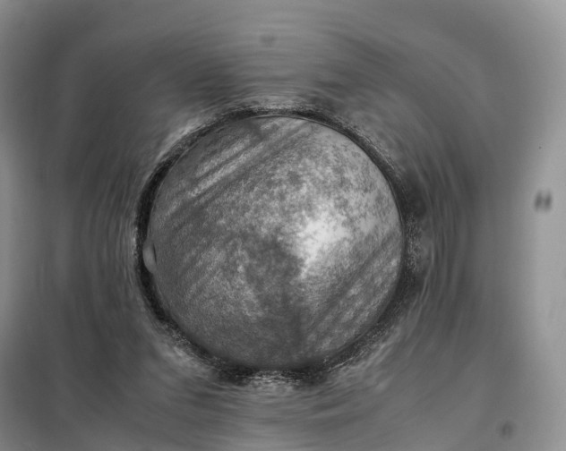 X0000098000207200804071227