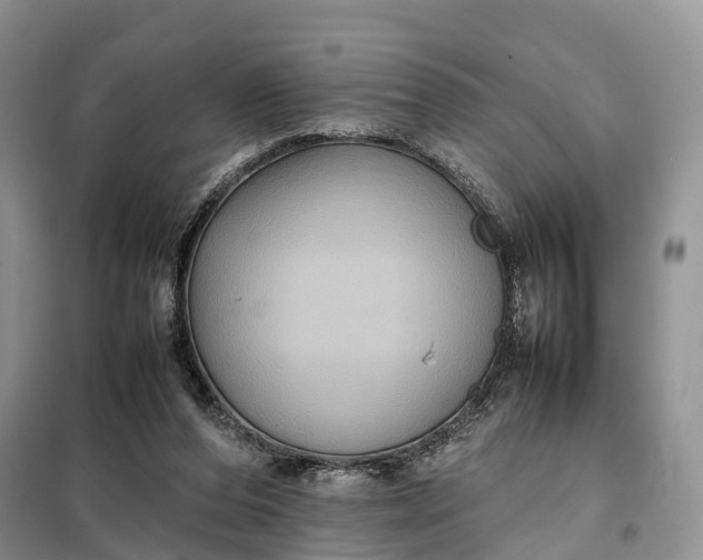 X0000098000208200804071227