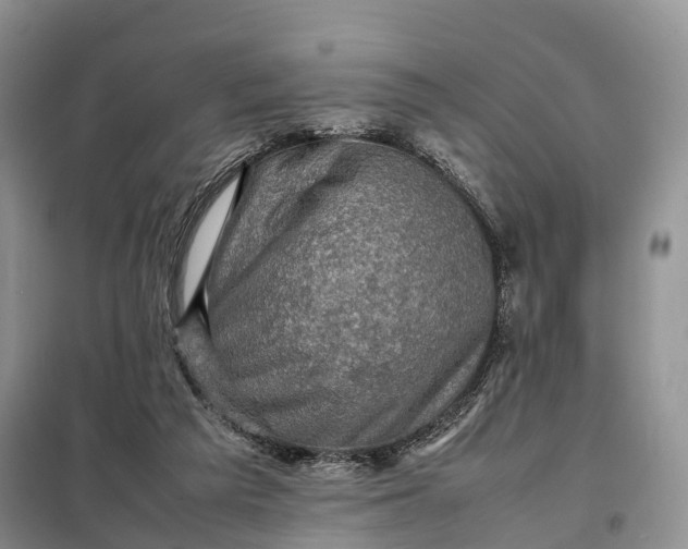 X0000098000209200804071227