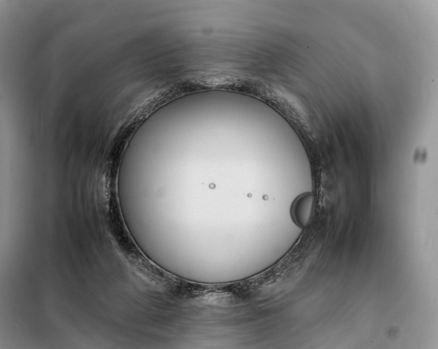 X0000098000210200804071227