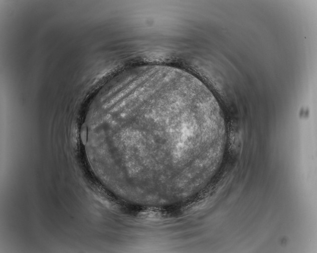 X0000098000211200804071227