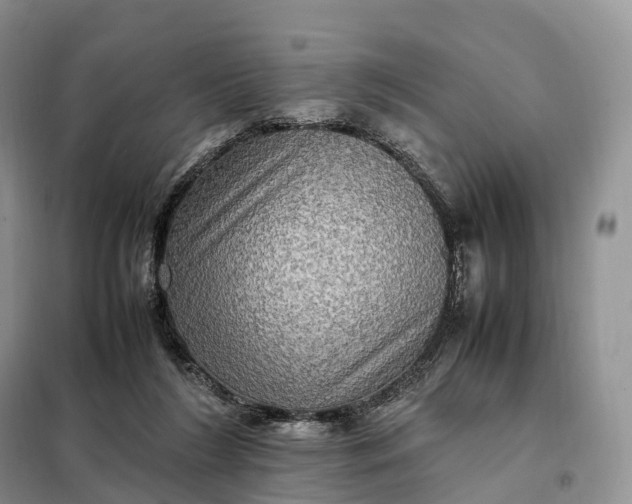 X0000098000212200804071227