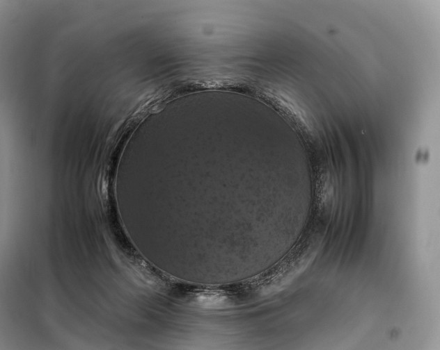 X0000098000214200804071227