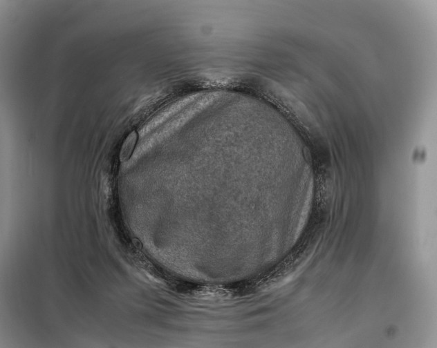 X0000098000215200804071227