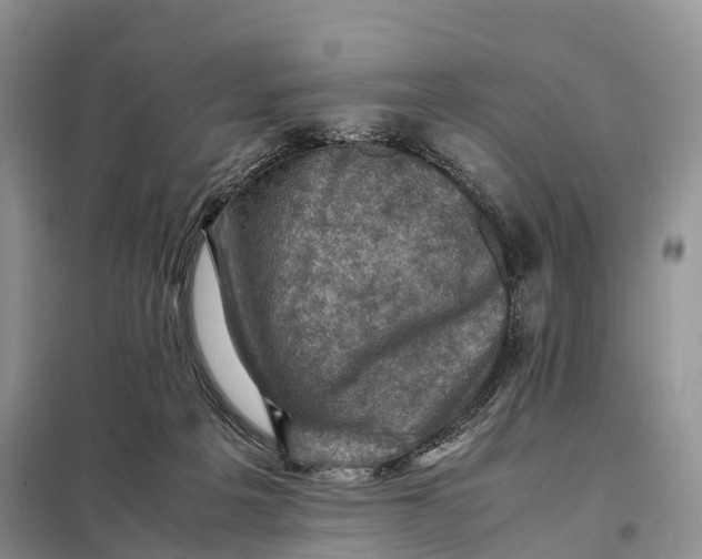 X0000098000217200804071227