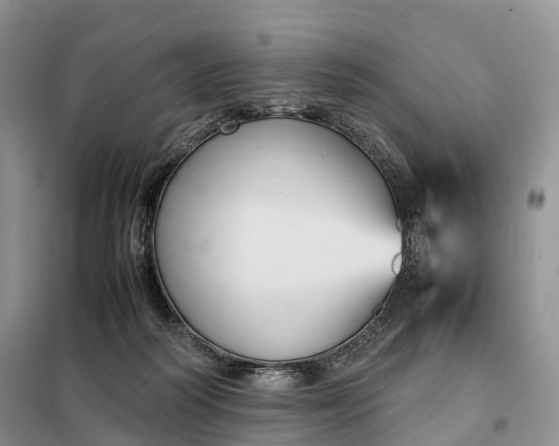 X0000098000218200804071226