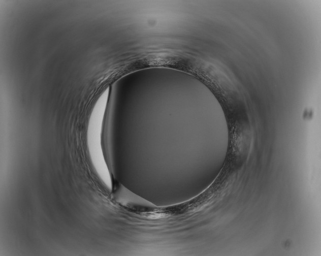 X0000098000219200804071226