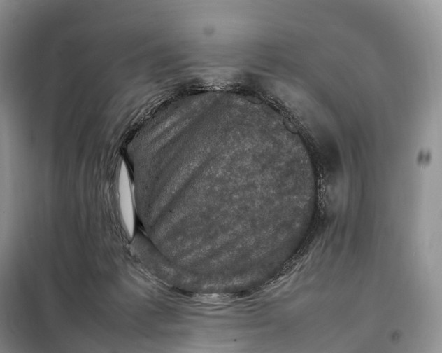 X0000098000221200804071226