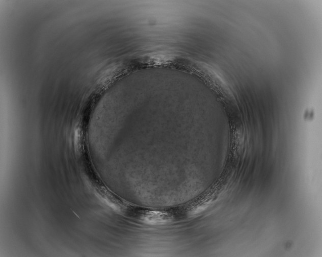X0000098000222200804071226