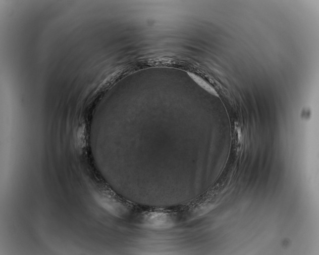 X0000098000224200804071226