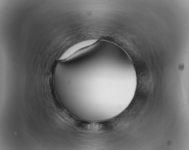 X0000098000225200804071226