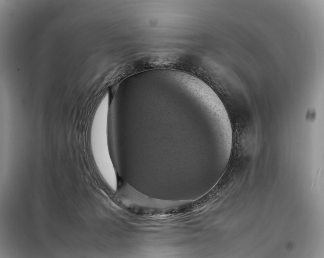 X0000098000227200804071226