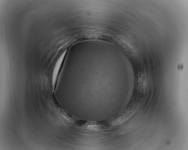 X0000098000228200804071226
