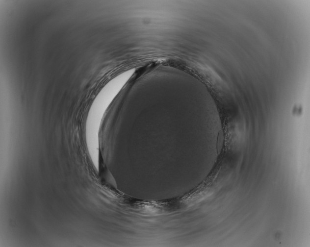 X0000098000229200804071226