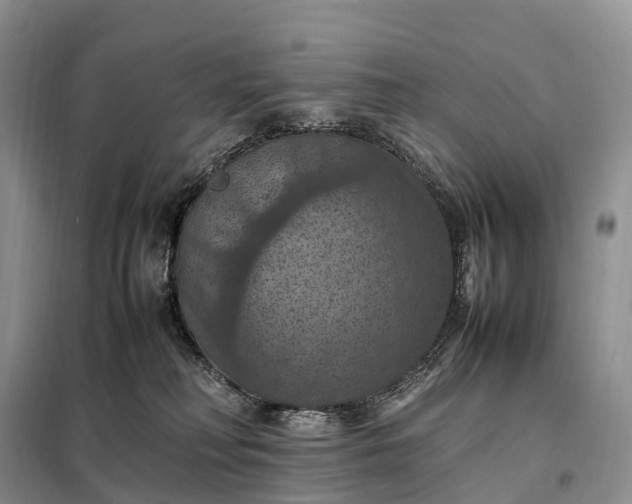 X0000098000230200804071226