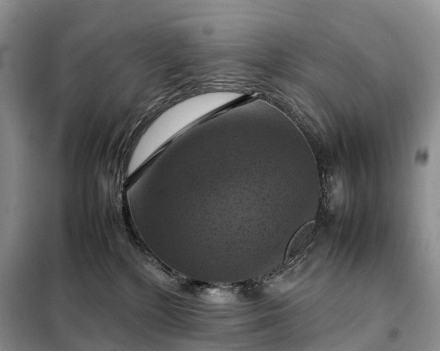 X0000098000232200804071226