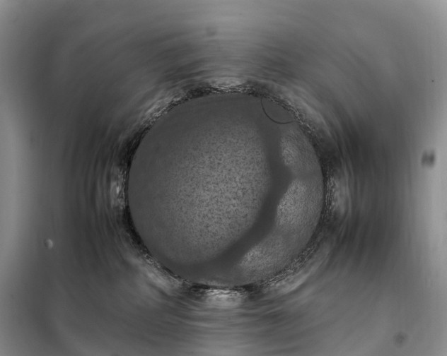 X0000098000234200804071226