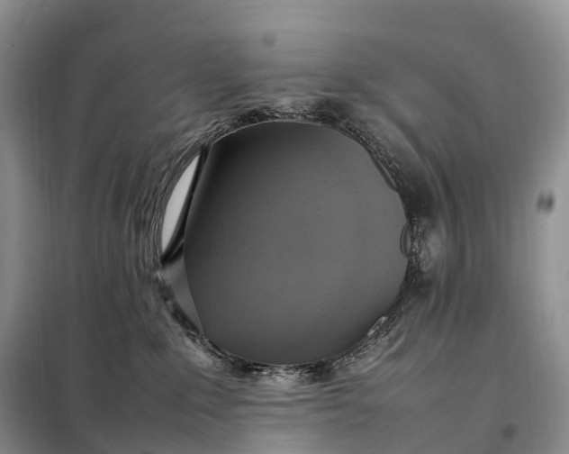 X0000098000235200804071226